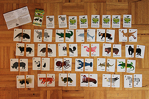 the full deck of jumbalup laid out on a woodenn background