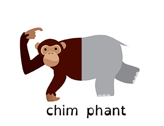 an illustration of a chimphant